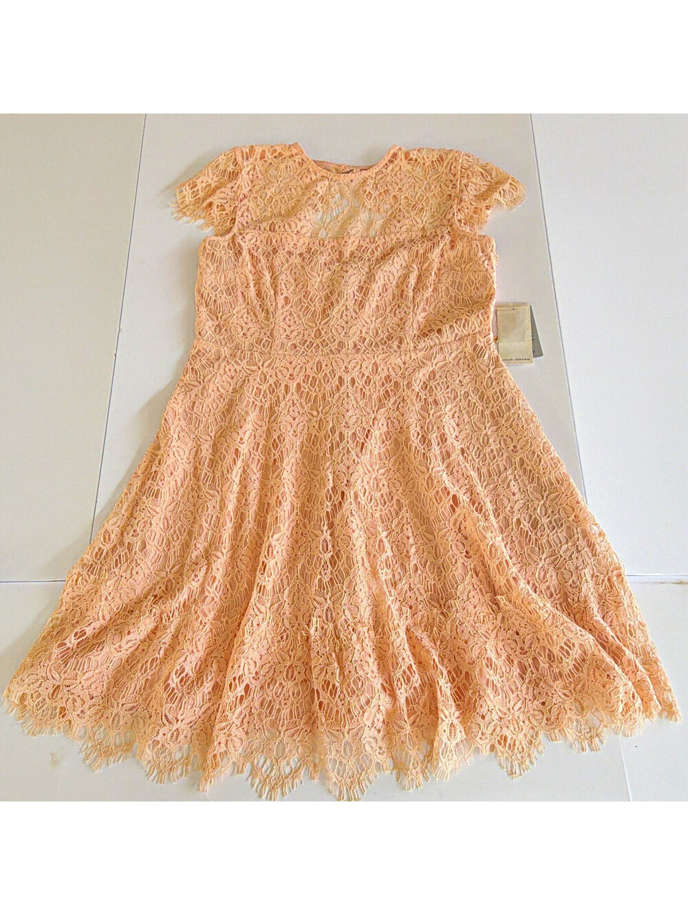 Julia Jordan Blush Floral Lace A-Line Dress 12 Cap Sleeve Knee Lined JJ36812